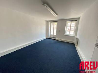 Gewerbeobjekt mieten in 4780 Schärding (Bild 4)