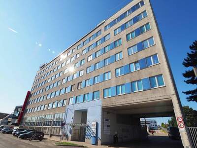 Gewerbeobjekt mieten in 1110 Wien (Bild 1)