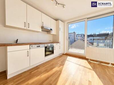 Terrassenwohnung kaufen in 1040 Wien (Bild 4)
