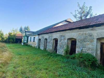 Haus kaufen in 3871 Alt