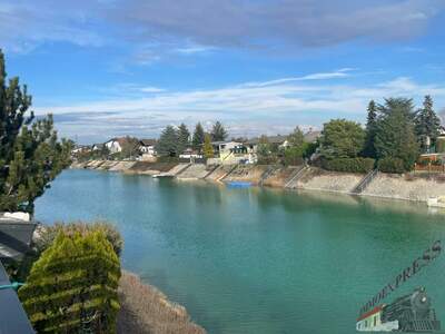 Einfamilienhaus kaufen in 2301 Groß (Bild 3)