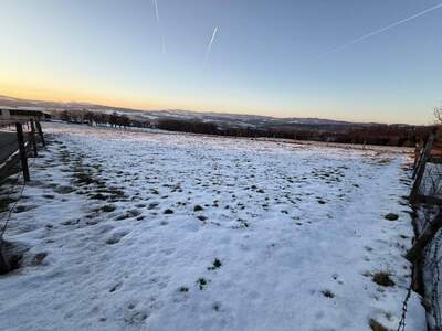 Grundstück kaufen in 4223 Weidegut