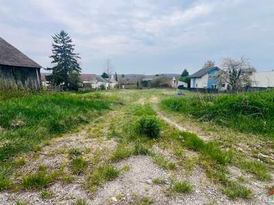 Grundstück kaufen in 2111 2111 Harmannsdorf (Bild 3)