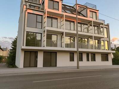 Terrassenwohnung kaufen in 1220 Wien (Bild 1)
