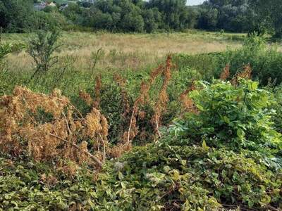 Grundstück kaufen in 2473 Potzneusiedl