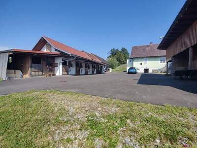 Gewerbeobjekt kaufen in 8323 Lambach (Bild 3)