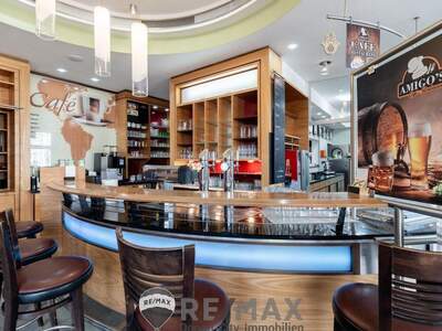 Gewerbeobjekt mieten in 3462 Absdorf (Bild 2)