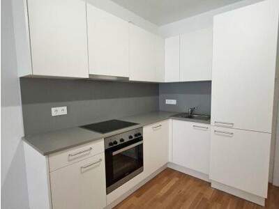 Terrassenwohnung mieten in 8010 Graz (Bild 1)