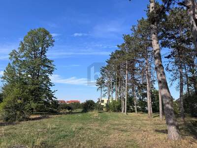 Grundstück kaufen in 2230 Gänserndorf