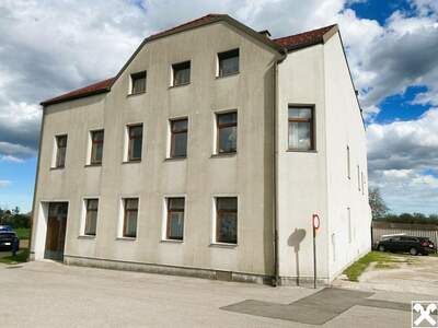 Anlageobjekt kaufen in 2493 Eggendorf (Bild 2)