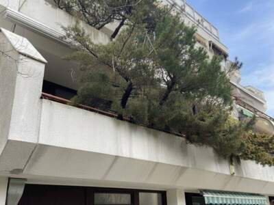 Wohnung kaufen in 3400 Klosterneuburg