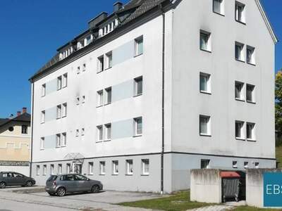 Mietwohnung in 3871 Alt