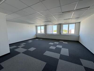 Gewerbeobjekt mieten in 4600 Thalheim (Bild 2)