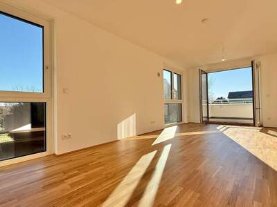 Terrassenwohnung kaufen in 1220 Wien (Bild 2)