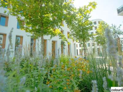 Gewerbeobjekt mieten in 1220 Wien (Bild 5)