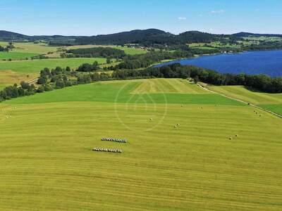 Gewerbeobjekt kaufen in 38226 Horní Planá (Bild 1)