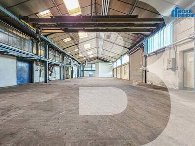 Gewerbeobjekt mieten in 4600 Thalheim