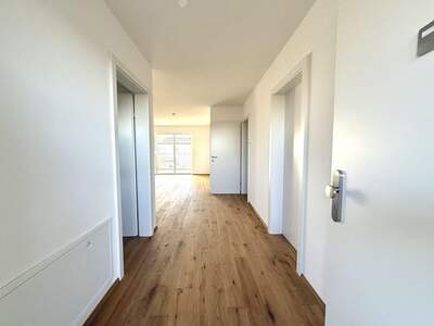 Wohnung mieten in 4600 Wels (Bild 5)