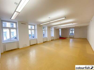 Gewerbeobjekt mieten in 1030 Wien (Bild 3)