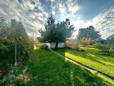 Haus kaufen in 2272 Ringelsdorf