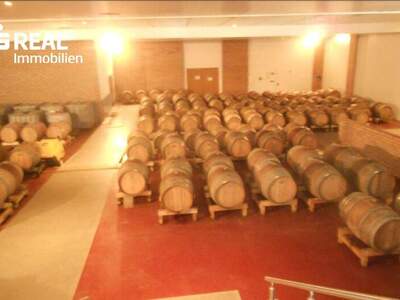 Lager kaufen in 7122 Gols (Bild 3)