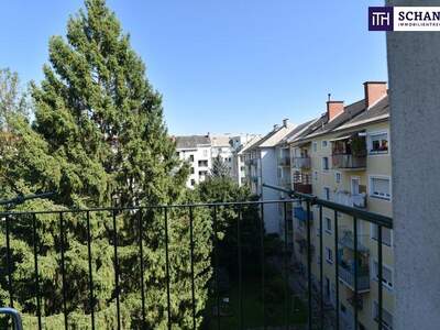 Terrassenwohnung mieten in 8010 Graz (Bild 2)