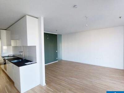 Terrassenwohnung mieten in 1100 Wien (Bild 5)