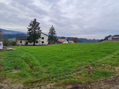 Grundstück kaufen in 4441 Behamberg (Bild 3)