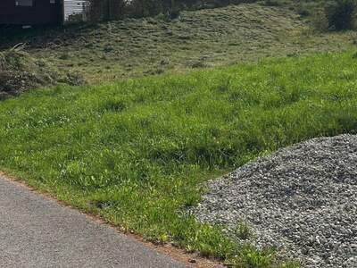 Grundstück kaufen in 4873 Frankenburg