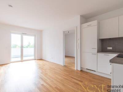 Terrassenwohnung mieten in 4932 Kirchheim (Bild 4)