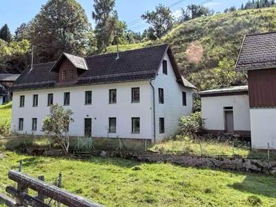 Haus kaufen in 4460 Losenstein (Bild 1)