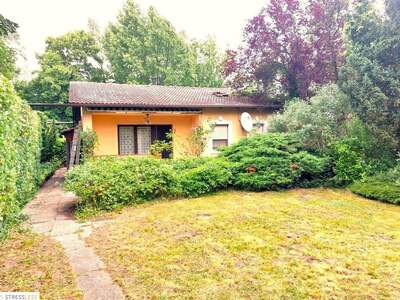 Haus mit Garten kaufen in 2291 Lassee (Bild 4)