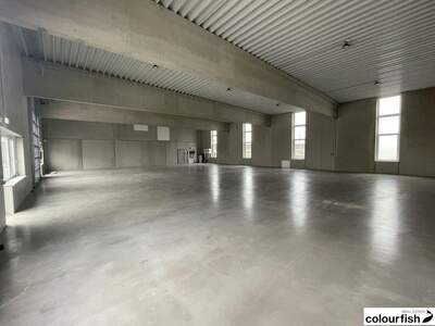 Gewerbeobjekt mieten in 2482 Münchendorf (Bild 3)