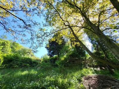 Grundstück kaufen in 3003 Gablitz (Bild 4)