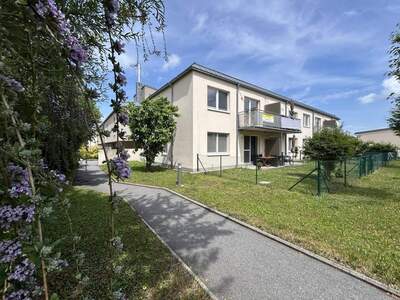 Wohnung mieten in 3712 Maissau