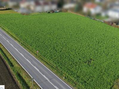 Grundstück kaufen in 4073 Wilhering (Bild 2)