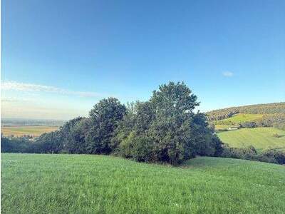 Grundstück kaufen in 3433 Königstetten (Bild 1)