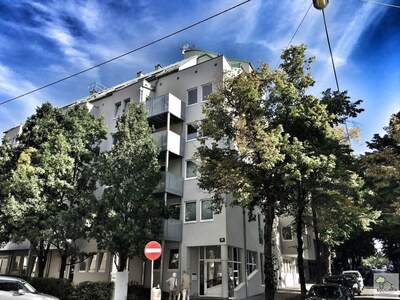 Wohnung kaufen in 1190 Wien