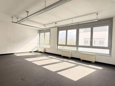 Gewerbeobjekt mieten in 2320 Schwechat (Bild 3)