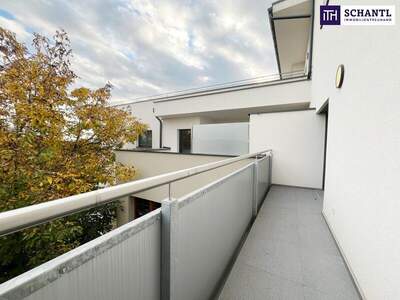 Terrassenwohnung mieten in 8151 Reiteregg (Bild 4)