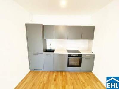 Wohnung mieten in 1110 Wien