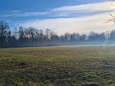 Grundstück kaufen in 8073 Wagnitz