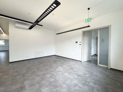 Gewerbeobjekt mieten in 9710 Feistritz (Bild 4)