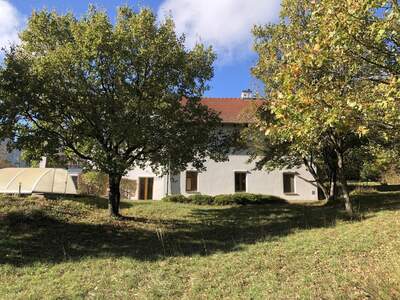 Einfamilienhaus kaufen in 7091 Breitenbrunn (Bild 3)