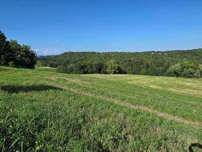 Grundstück kaufen in 8323 St. Marein