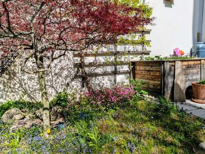 Wohnung mieten in 1180 Wien (Bild 1)