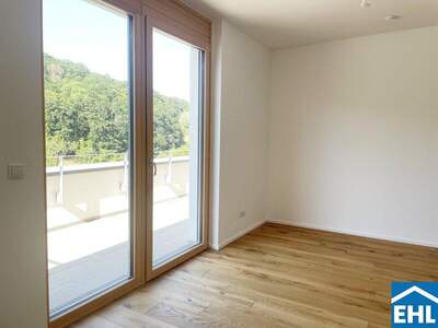 Terrassenwohnung mieten in 2391 Kaltenleutgeben (Bild 3)