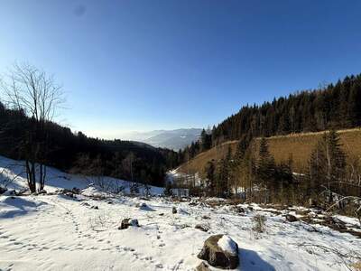 Haus kaufen in 8650 Kindberg (Bild 2)