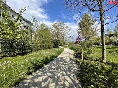 Wohnung kaufen in 4020 Linz