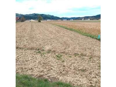 Grundstück kaufen in 8443 Gleinstätten